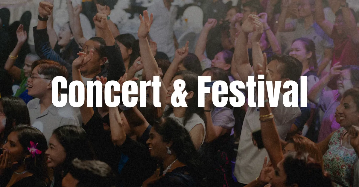 Concert and Festival Organization Service at Dream Station