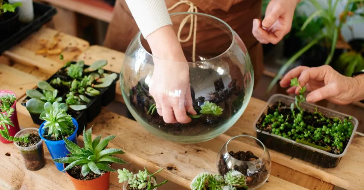 One of Dream Station's fringe activities: Terrarium Filling